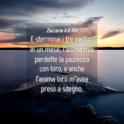 Picture 04 - Zaccaria 11:8 RIV - E sterminai i tre pastori in un mese; l’anima - Bible Verse Picture