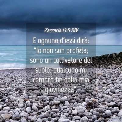 Picture 04 - Zaccaria 13:5 RIV - E ognuno d’essi dirà: “Io non son profeta; - Bible Verse Picture