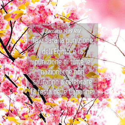 Picture 04 - Zaccaria 14:19 RIV - Tale sarà la punizione dell’Egitto, e la - Bible Verse Picture