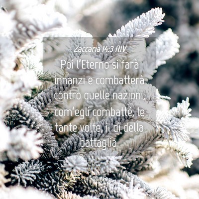 Picture 04 - Zaccaria 14:3 RIV - Poi l’Eterno si farà innanzi e combatterà - Bible Verse Picture