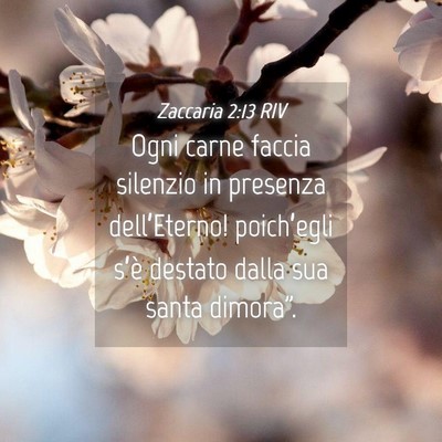 Picture 04 - Zaccaria 2:13 RIV - Ogni carne faccia silenzio in presenza - Bible Verse Picture