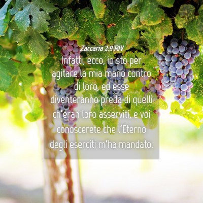 Picture 04 - Zaccaria 2:9 RIV - Infatti, ecco, io sto per agitare la mia mano - Bible Verse Picture