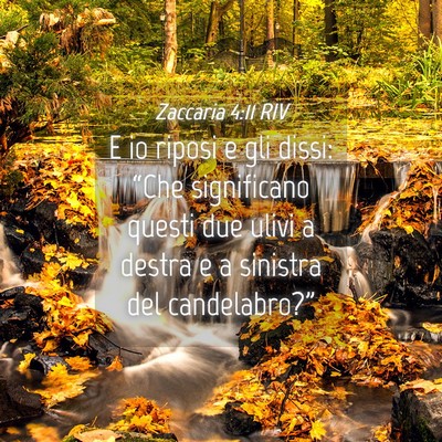 Picture 04 - Zaccaria 4:11 RIV - E io riposi e gli dissi: “Che significano - Bible Verse Picture