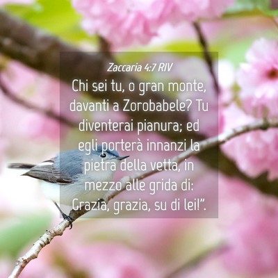 Picture 04 - Zaccaria 4:7 RIV - Chi sei tu, o gran monte, davanti a Zorobabele? - Bible Verse Picture