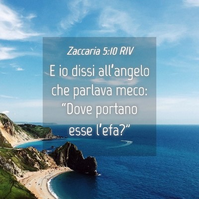 Picture 04 - Zaccaria 5:10 RIV - E io dissi all’angelo che parlava meco: “Dove - Bible Verse Picture