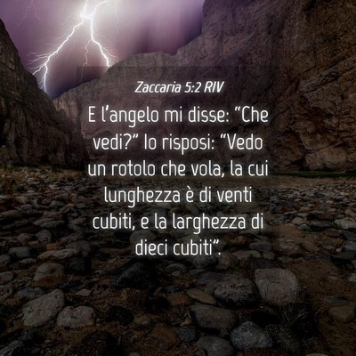 Picture 04 - Zaccaria 5:2 RIV - E l’angelo mi disse: “Che vedi?” Io - Bible Verse Picture