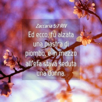 Picture 04 - Zaccaria 5:7 RIV - Ed ecco, fu alzata una piastra di piombo, e in - Bible Verse Picture