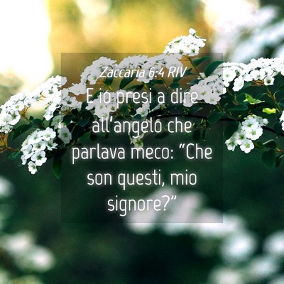 Picture 04 - Zaccaria 6:4 RIV - E io presi a dire all’angelo che parlava meco: - Bible Verse Picture