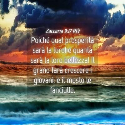 Picture 04 - Zaccaria 9:17 RIV - Poiché qual prosperità sarà la loro! e quanta - Bible Verse Picture