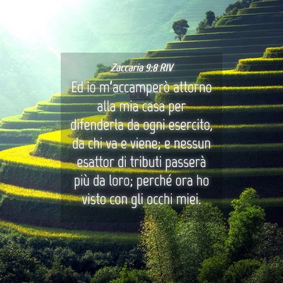 Picture 04 - Zaccaria 9:8 RIV - Ed io m’accamperò attorno alla mia casa per - Bible Verse Picture