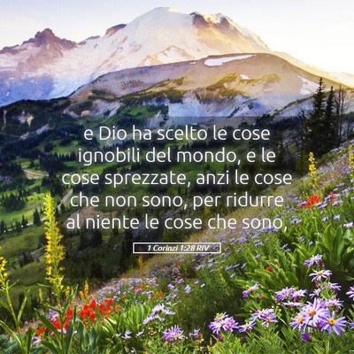 Picture 05 - 1 Corinzi 1:28 RIV - e Dio ha scelto le cose ignobili del mondo, e le - Bible Verse Picture