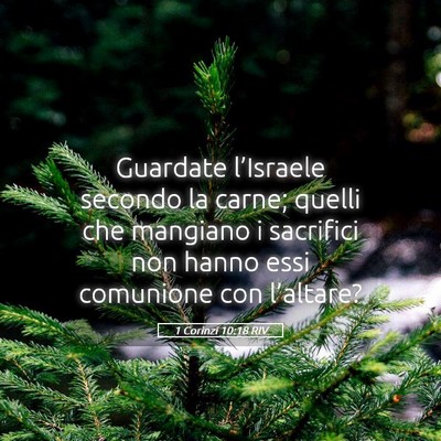 Picture 05 - 1 Corinzi 10:18 RIV - Guardate l’Israele secondo la carne; quelli che - Bible Verse Picture