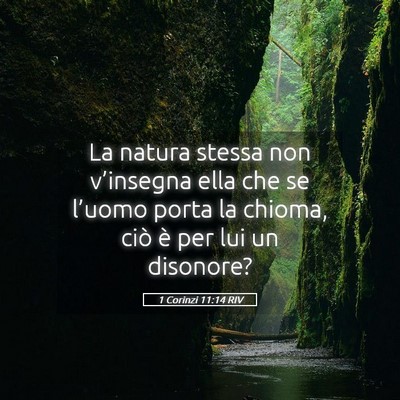 Picture 05 - 1 Corinzi 11:14 RIV - La natura stessa non v’insegna ella che se - Bible Verse Picture