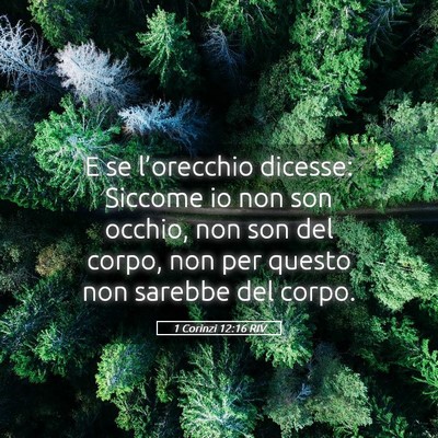 Picture 05 - 1 Corinzi 12:16 RIV - E se l’orecchio dicesse: Siccome io non son - Bible Verse Picture