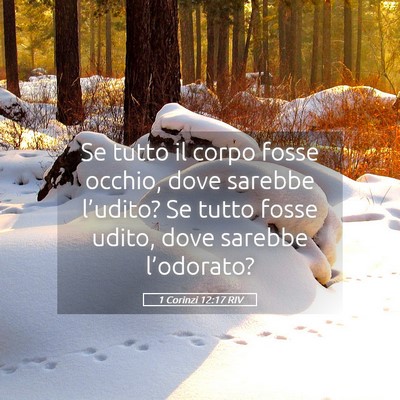 Picture 05 - 1 Corinzi 12:17 RIV - Se tutto il corpo fosse occhio, dove sarebbe - Bible Verse Picture