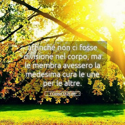 Picture 05 - 1 Corinzi 12:25 RIV - affinché non ci fosse divisione nel corpo, ma le - Bible Verse Picture