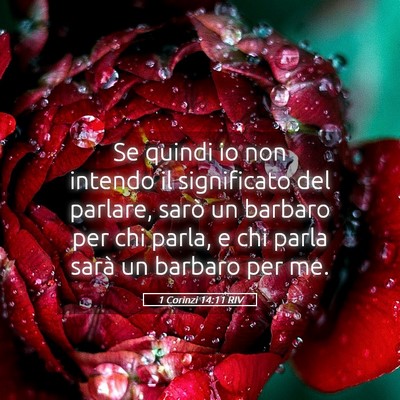 Picture 05 - 1 Corinzi 14:11 RIV - Se quindi io non intendo il significato del - Bible Verse Picture
