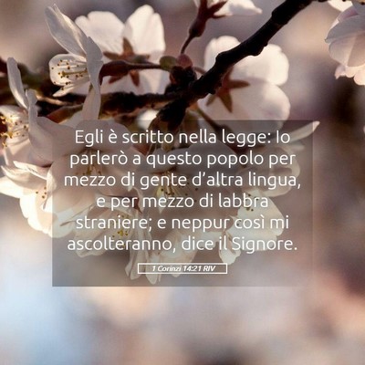Picture 05 - 1 Corinzi 14:21 RIV - Egli è scritto nella legge: Io parlerò a questo - Bible Verse Picture