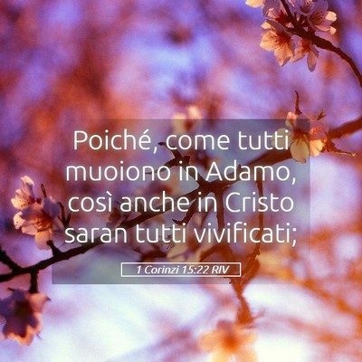 Picture 05 - 1 Corinzi 15:22 RIV - Poiché, come tutti muoiono in Adamo, così anche - Bible Verse Picture