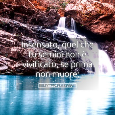 Picture 05 - 1 Corinzi 15:36 RIV - Insensato, quel che tu semini non è vivificato, - Bible Verse Picture
