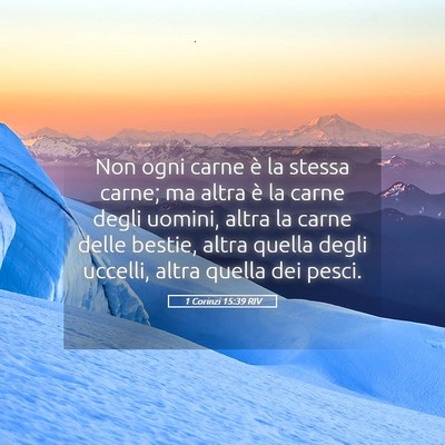 Picture 05 - 1 Corinzi 15:39 RIV - Non ogni carne è la stessa carne; ma altra è la - Bible Verse Picture