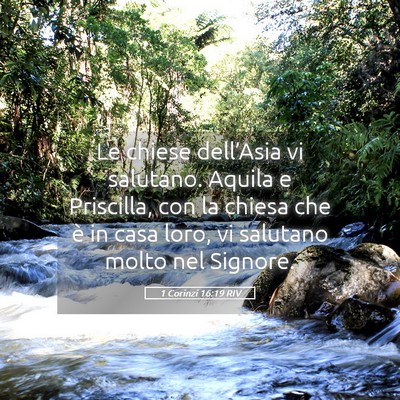Picture 05 - 1 Corinzi 16:19 RIV - Le chiese dell’Asia vi salutano. Aquila e - Bible Verse Picture