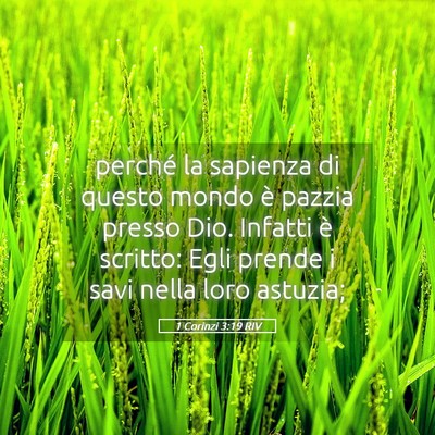 Picture 05 - 1 Corinzi 3:19 RIV - perché la sapienza di questo mondo è pazzia - Bible Verse Picture