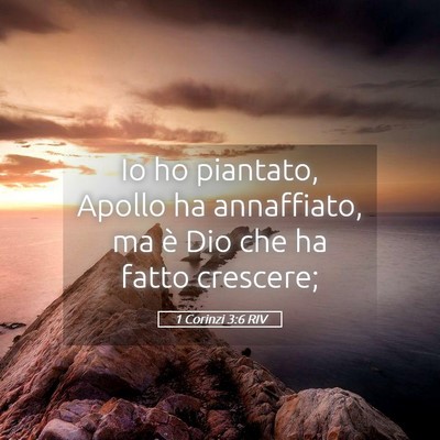 Picture 05 - 1 Corinzi 3:6 RIV - Io ho piantato, Apollo ha annaffiato, ma è Dio - Bible Verse Picture