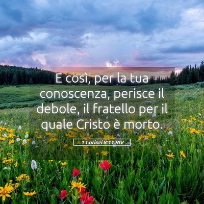 Picture 05 - 1 Corinzi 8:11 RIV - E così, per la tua conoscenza, perisce il - Bible Verse Picture