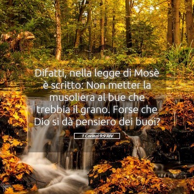 Picture 05 - 1 Corinzi 9:9 RIV - Difatti, nella legge di Mosè è scritto: Non - Bible Verse Picture