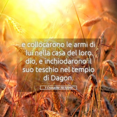 Picture 05 - 1 Cronache 10:10 RIV - e collocarono le armi di lui nella casa del loro - Bible Verse Picture