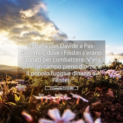 Picture 05 - 1 Cronache 11:13 RIV - Egli era con Davide a Pas-Dammin, dove i Filistei - Bible Verse Picture