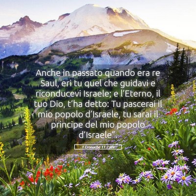 Picture 05 - 1 Cronache 11:2 RIV - Anche in passato quando era re Saul, eri tu quel - Bible Verse Picture