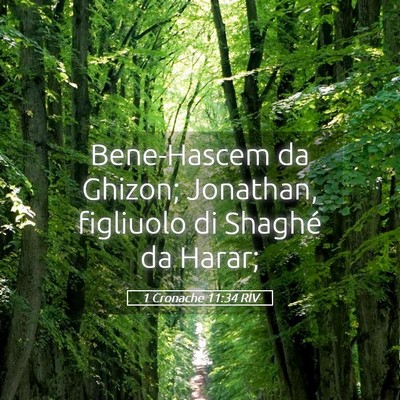 Picture 05 - 1 Cronache 11:34 RIV - Bene-Hascem da Ghizon; Jonathan, figliuolo di - Bible Verse Picture