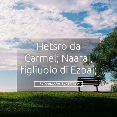 Picture 05 - 1 Cronache 11:37 RIV - Hetsro da Carmel; Naarai, figliuolo di - Bible Verse Picture