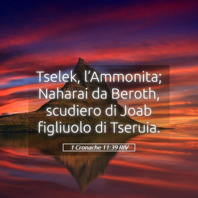 Picture 05 - 1 Cronache 11:39 RIV - Tselek, l’Ammonita; Naharai da Beroth, scudiero - Bible Verse Picture