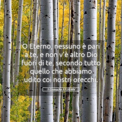 Picture 05 - 1 Cronache 17:20 RIV - O Eterno, nessuno è pari a te, e non v’è - Bible Verse Picture