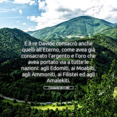 Picture 05 - 1 Cronache 18:11 RIV - E il re Davide consacrò anche quelli - Bible Verse Picture
