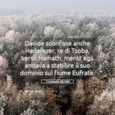 Picture 05 - 1 Cronache 18:3 RIV - Davide sconfisse anche Hadarezer, re di Tsoba, - Bible Verse Picture