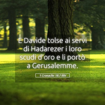 Picture 05 - 1 Cronache 18:7 RIV - E Davide tolse ai servi di Hadarezer i loro scudi - Bible Verse Picture