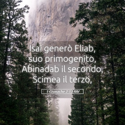 Picture 05 - 1 Cronache 2:13 RIV - Isai generò Eliab, suo primogenito, Abinadab il - Bible Verse Picture