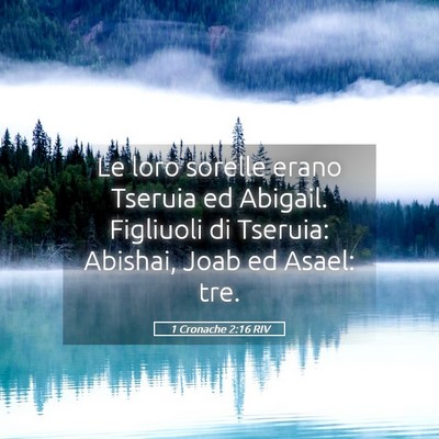 Picture 05 - 1 Cronache 2:16 RIV - Le loro sorelle erano Tseruia ed Abigail. - Bible Verse Picture
