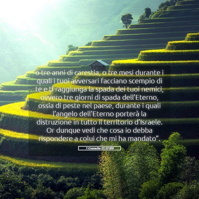 Picture 05 - 1 Cronache 21:12 RIV - o tre anni di carestia, o tre mesi durante i - Bible Verse Picture