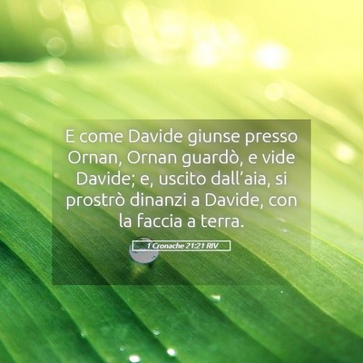 Picture 05 - 1 Cronache 21:21 RIV - E come Davide giunse presso Ornan, Ornan guardò, - Bible Verse Picture