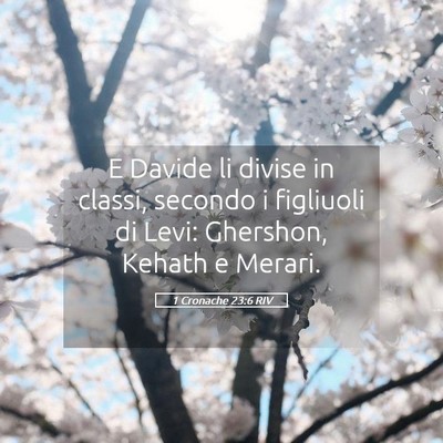 Picture 05 - 1 Cronache 23:6 RIV - E Davide li divise in classi, secondo i figliuoli - Bible Verse Picture