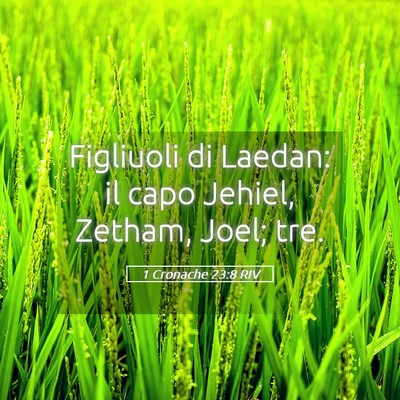 Picture 05 - 1 Cronache 23:8 RIV - Figliuoli di Laedan: il capo Jehiel, Zetham, - Bible Verse Picture