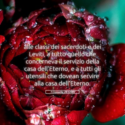 Picture 05 - 1 Cronache 28:13 RIV - alle classi dei sacerdoti e dei Leviti, a tutto - Bible Verse Picture