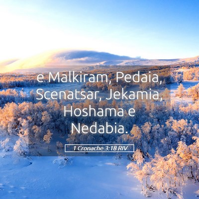Picture 05 - 1 Cronache 3:18 RIV - e Malkiram, Pedaia, Scenatsar, Jekamia, Hoshama e - Bible Verse Picture
