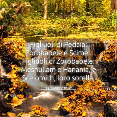 Picture 05 - 1 Cronache 3:19 RIV - Figliuoli di Pedaia: Zorobabele e Scimei. - Bible Verse Picture
