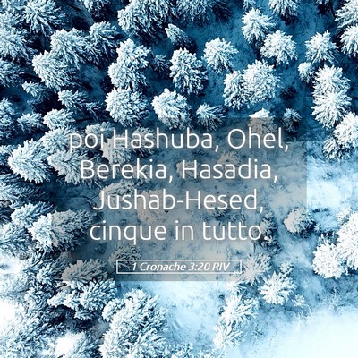 Picture 05 - 1 Cronache 3:20 RIV - poi Hashuba, Ohel, Berekia, Hasadia, - Bible Verse Picture